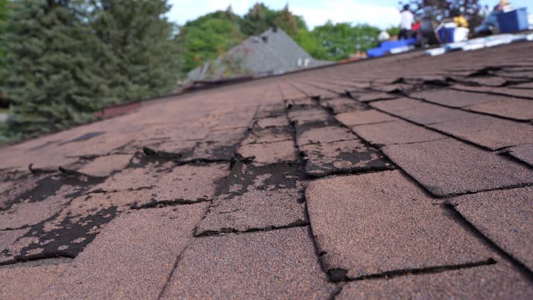 Best Roof Ventilation Installation  in Shongopovi, AZ