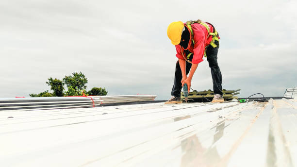 Best Chimney Flashing Repair  in Shongopovi, AZ