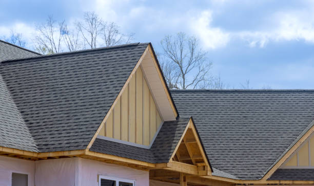 Best Gutter Installation and Repair  in Shongopovi, AZ