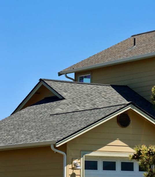 Best Roof Maintenance and Cleaning  in Shongopovi, AZ